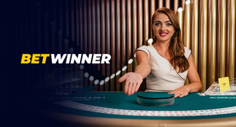All You Need to Know About Betwinner 1 All You Need to Know About Betwinner 1