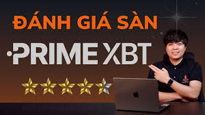 Understanding PrimeXBT Risk Disclosure Understanding PrimeXBT Risk Disclosure